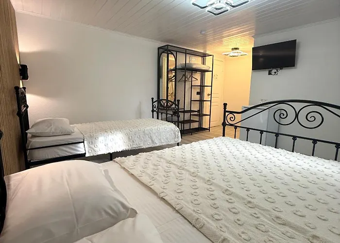 Entire 4-br Historic Greek In Cunda Island Panzió 3*